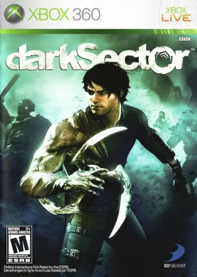 Dark Sector
